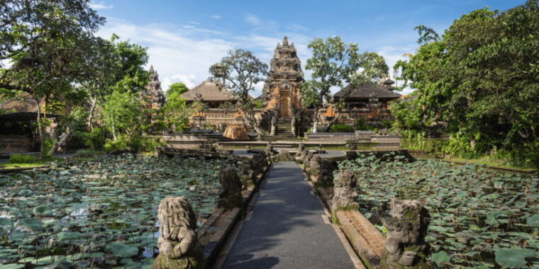 bali-ubud-monkey-forest-private-tour-luxury-car