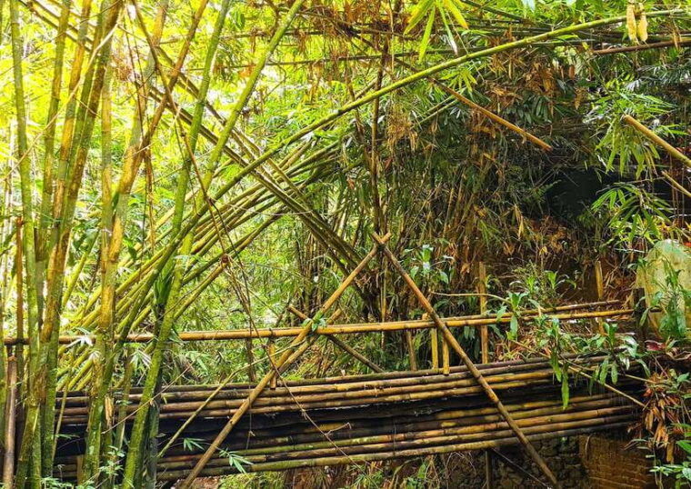 balis-mystical-jungle-trek-hidden-waterfall-adventure