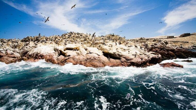 ballestas-islands-paracas-national-reserve-from-paracas