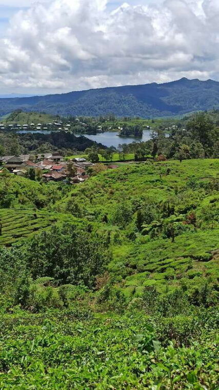 bandung-volcano-hot-spring-mud-bathing-tea-tour