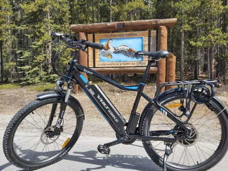 banff-4-hour-e-bike-and-walking-tour-in-johnston-canyon