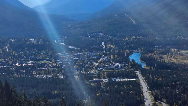 banff-evening-wildlife-safari-guided-tour