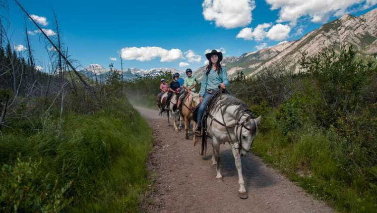 banff-national-park-2-hour-sundance-loop-horseback-ride