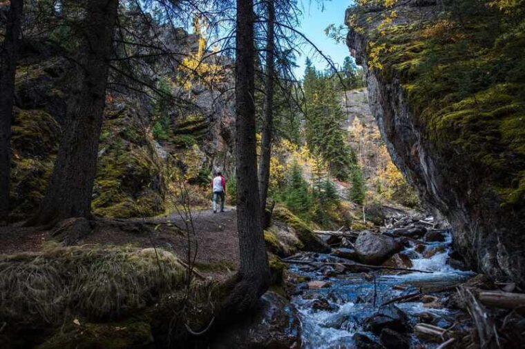 banff-thermal-waters-and-hidden-waterfalls-3hr-walk