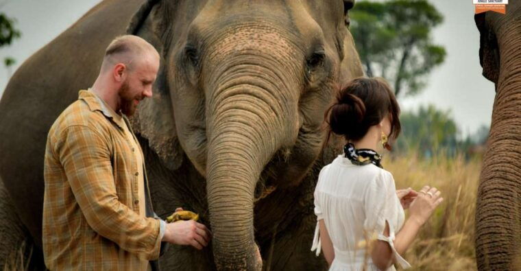 bangkok-pattaya-elephant-jungle-sanctuary-half-day-tour