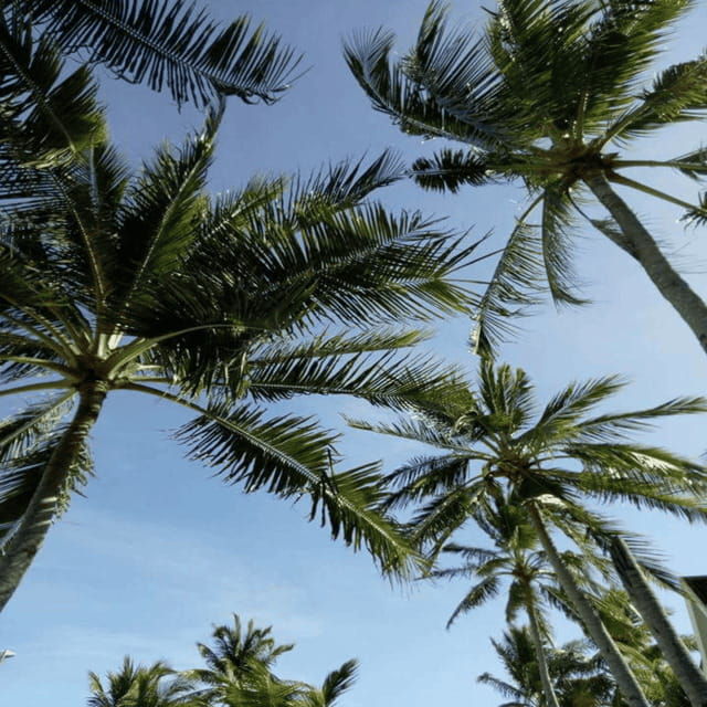 bantayan-island-uncovered-land-tour-adventure