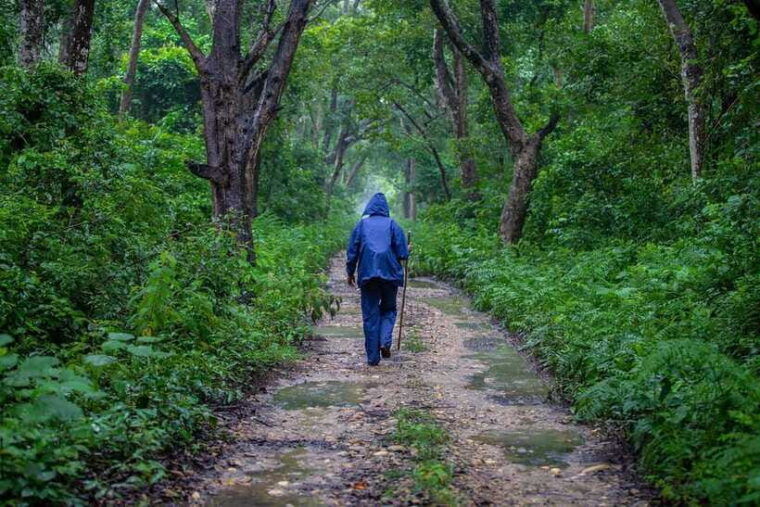 bardiya-national-park-treehouse-stay-with-wildlife-safari