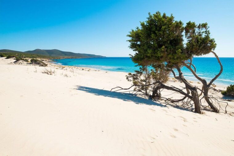 beach-tour-porto-pino-piscinni-from-cagliari