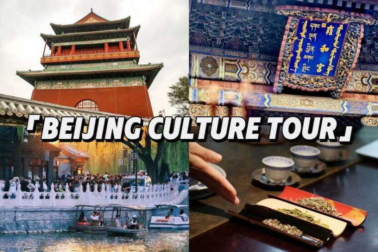 beijing-hutong-culture-and-tea-tasting-private-tour