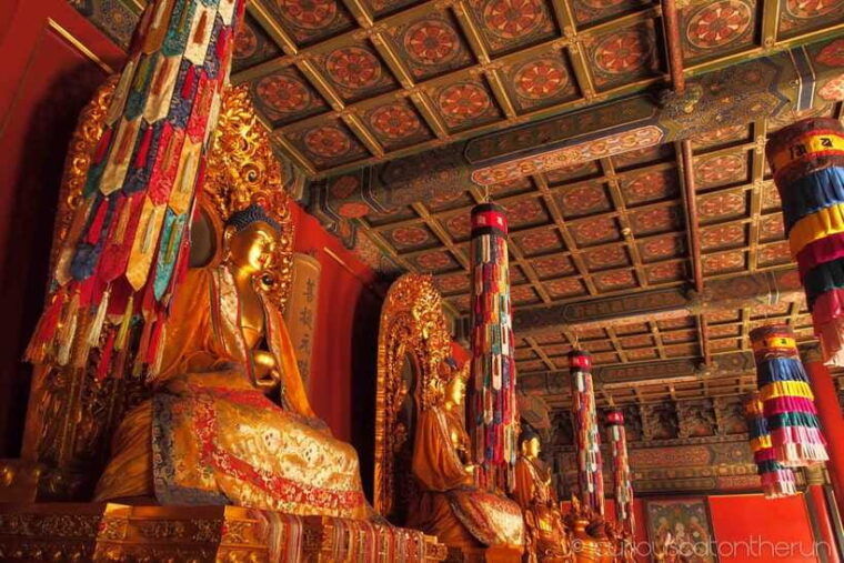 beijing-lama-temple-and-temple-of-heaven-guided-tour