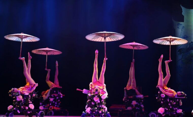beijing-night-tour-with-acrobatics-show-pekingduck-dinner