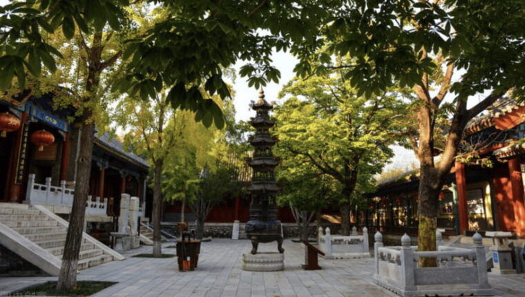beijing-shaolin-temple-day-tour-by-round-trip-bullet-train
