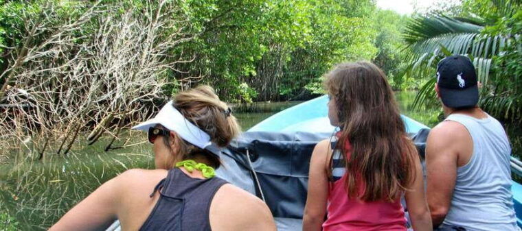 bentota-river-boat-safari