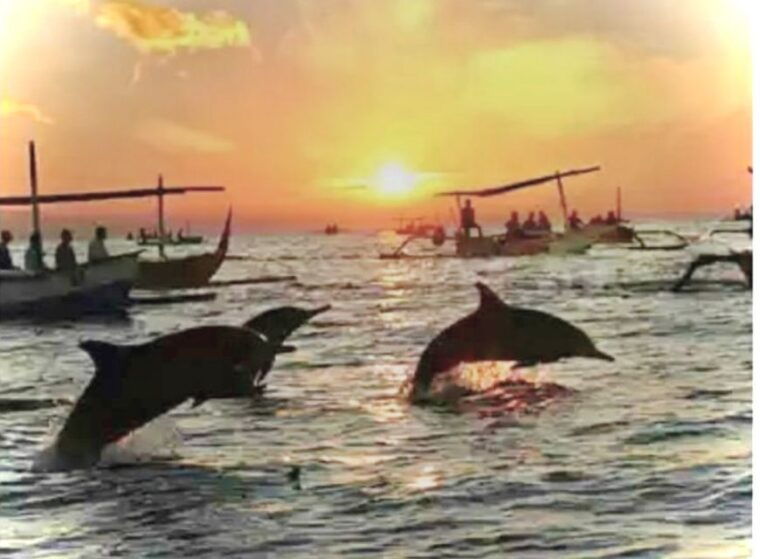 best-lovina-sunrise-dolphins-watching-tour