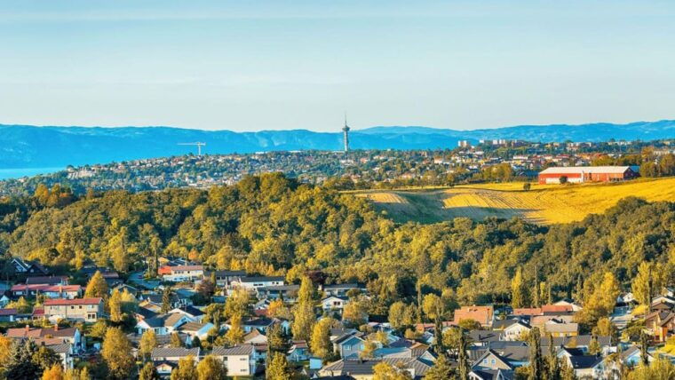 best-of-trondheim-private-walking-tour-with-a-local