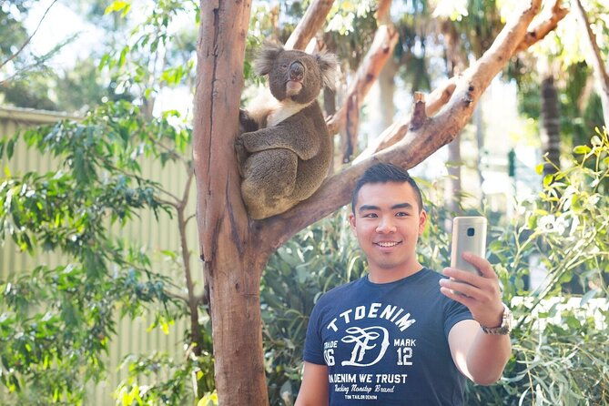 Blue Mountains Small Group Tour with Lunch, Zoo and Scenic World - Frequently Asked Questions