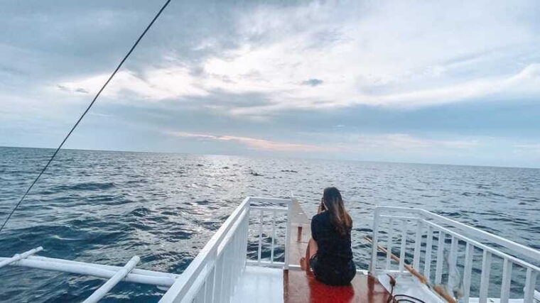 bohol-balicasag-is-private-tour-and-dolphin-watching