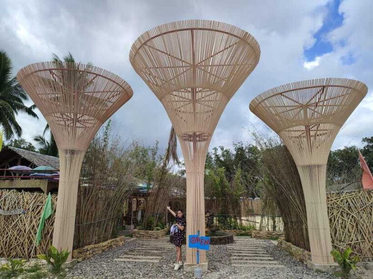 bohol-choco-tour-tarsiers-with-lunch