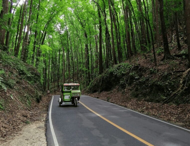 bohol-countryside-tour-with-tarsiers-and-chocolate-hills