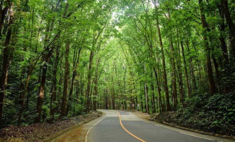 bohol-countryside-tour