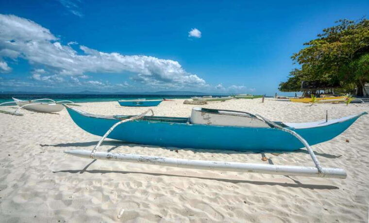 bohol-pamilacan-island-turtle-dolphin-watching