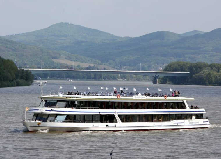 bonn-1-5-hour-river-cruise-on-the-rhine