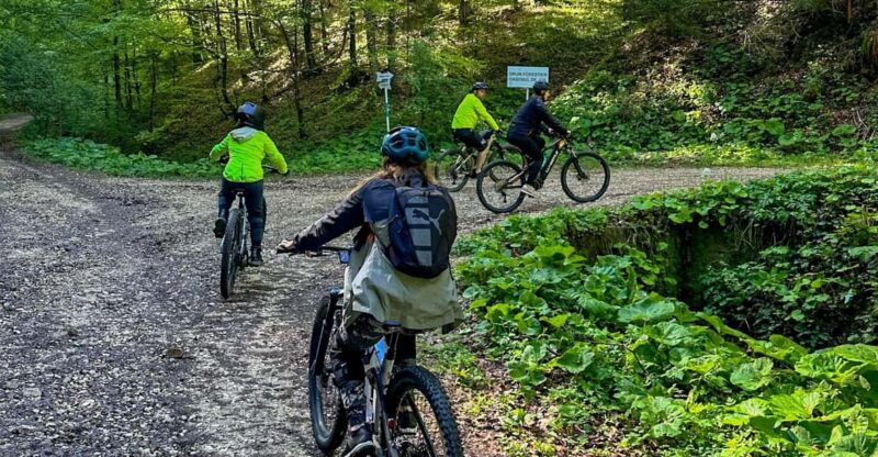 brasov-e-bike-tour-to-poiana-brasov-old-town-forest