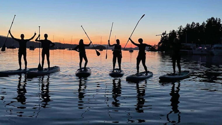 brentwood-bay-bioluminescence-tour