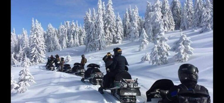 bucharest-carpathian-snowmobile-adventure-tour
