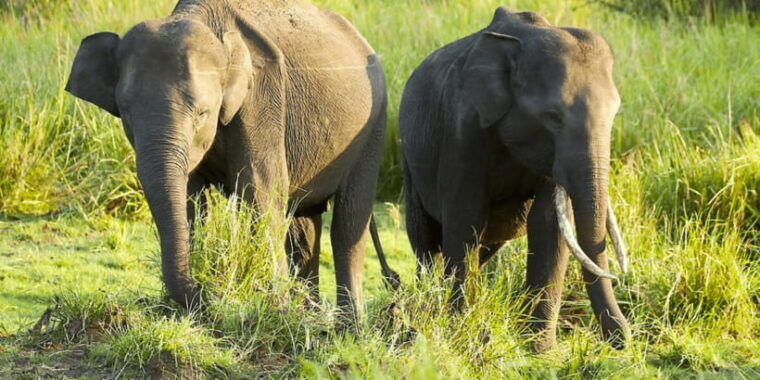 budget-safari-to-wilpaththu-national-park-from-anuradhapura