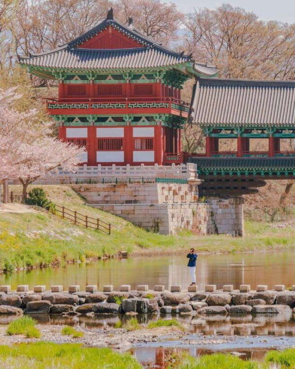 busan-gyeongju-one-day-tour-from-busan
