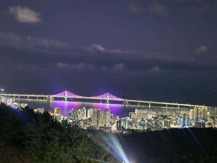 busan-night-view-tour-yacht-hwangnyeongsan-mountain