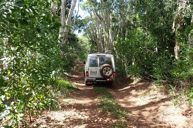 Cairns 4WD Rainforest Waterfall Tour Including a GBR Island Tour - The Sum Up: Is This Tour Worth It?