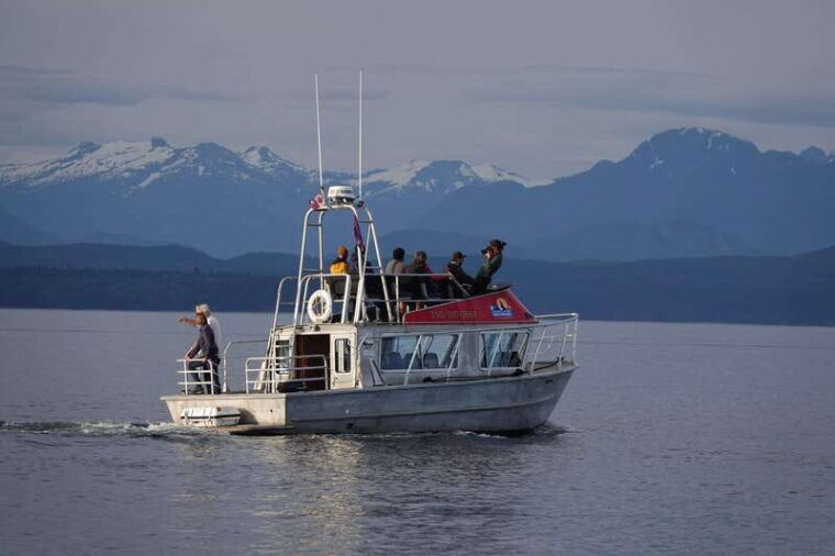 campbell-river-spring-bear-watching-waterfalls-boat-tour