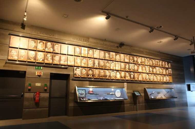 canical-madeira-whale-museum-entry-ticket