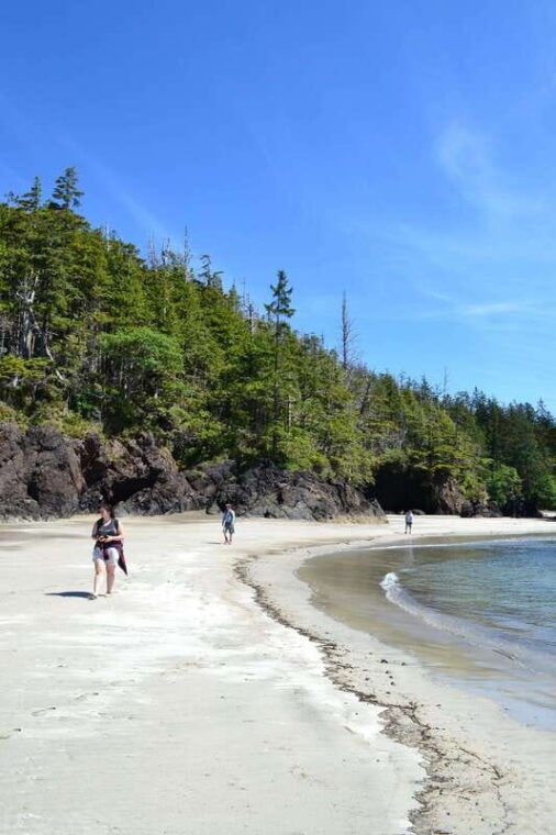 cape-scott-san-josef-bay-day-hike-with-scenic-drive