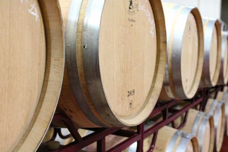 carvoeiro-portimao-alvor-wine-tour-w-tasting-tapas-music