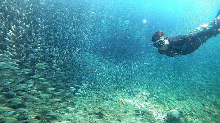 cebu-adventure-atv-mantayupan-falls-moalboal-snorkeling