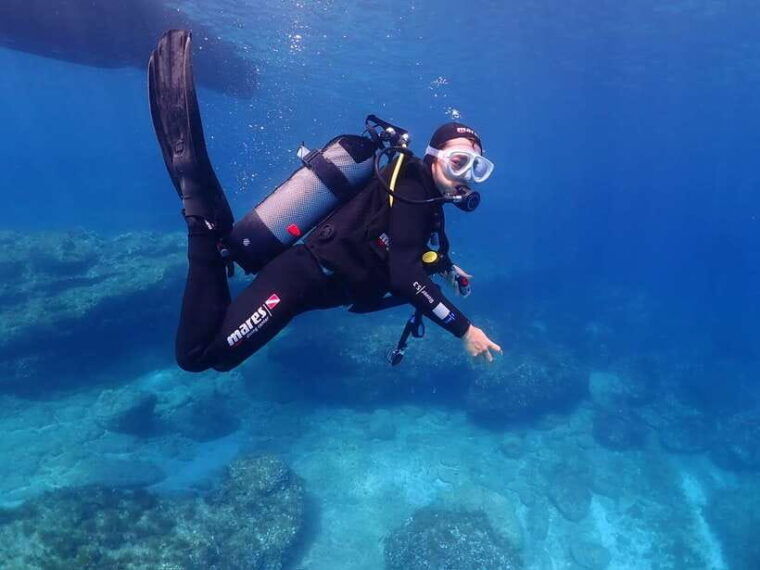 cebu-boat-diving-two-dive-tour-in-olango-island