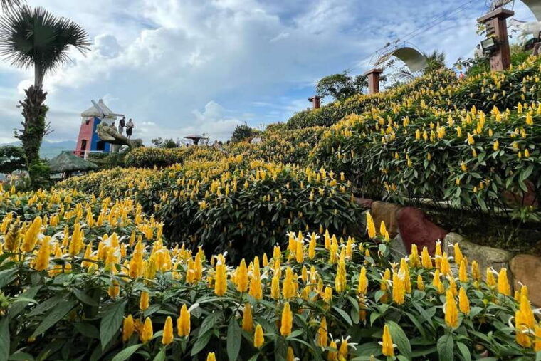 cebu-highlands-guided-tour-w-hotel-pickup