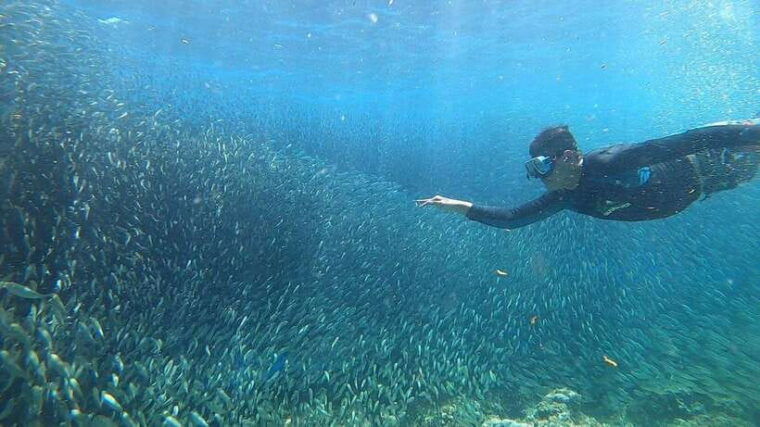 cebu-osmena-peak-hike-and-sardines-run-snorkel-adventure