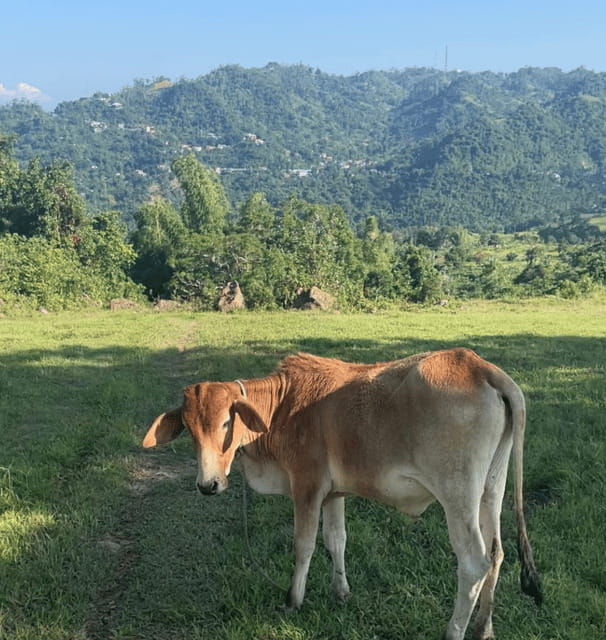cebu-quick-hiking-trip-outside-of-the-concrete-jungle