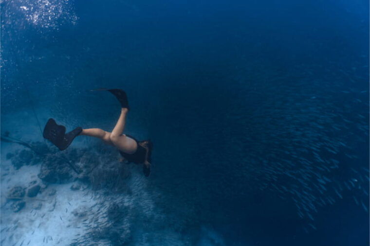 cebu-sardine-turtle-snorkelling-run-mantayupan-falls