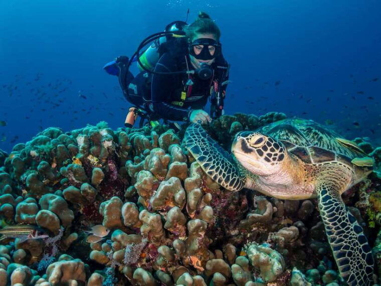 cebu-scuba-diving-with-sardines-and-pescador-island-snorkel