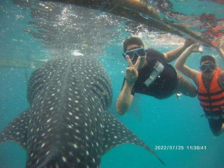 cebu-whaleshark-encounter-tumalog-falls-monkey-viewing