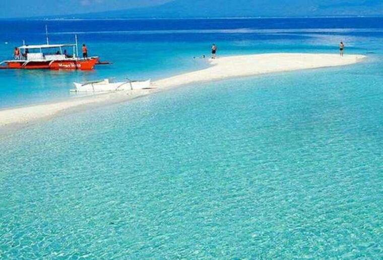 cebu-whaleshark-encounter-tumalog-falls-sumilon-sandbar