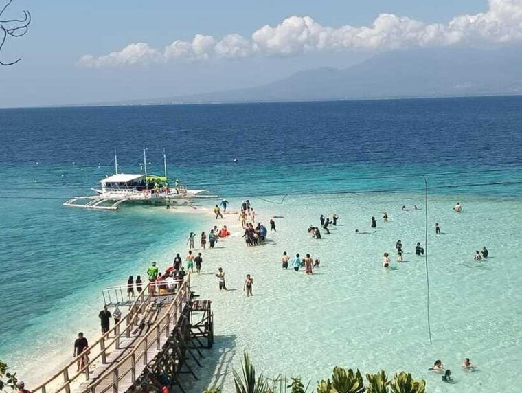 cebu-whaleshark-watching-sumilon-island-and-moalboal