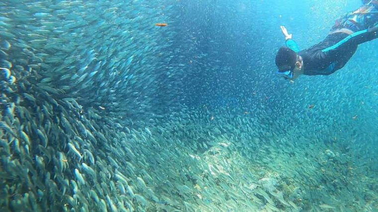 cebusardine-run-snorkeling-mantayupan-falls-atv-thrills