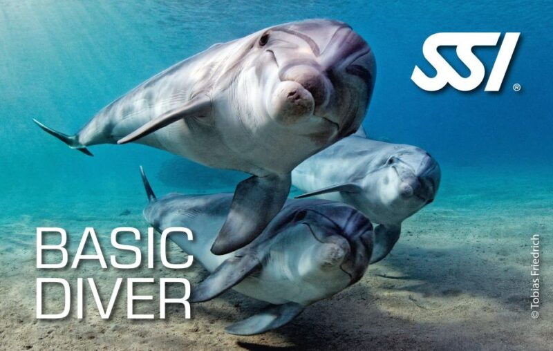 chaniatry-scuba-diving-2shore-divesreceive-certification