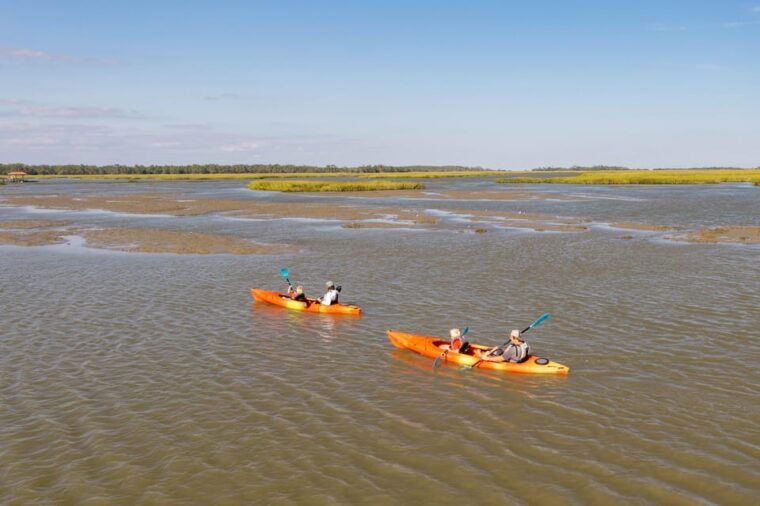 charleston-folly-beach-kayak-dolphin-safari